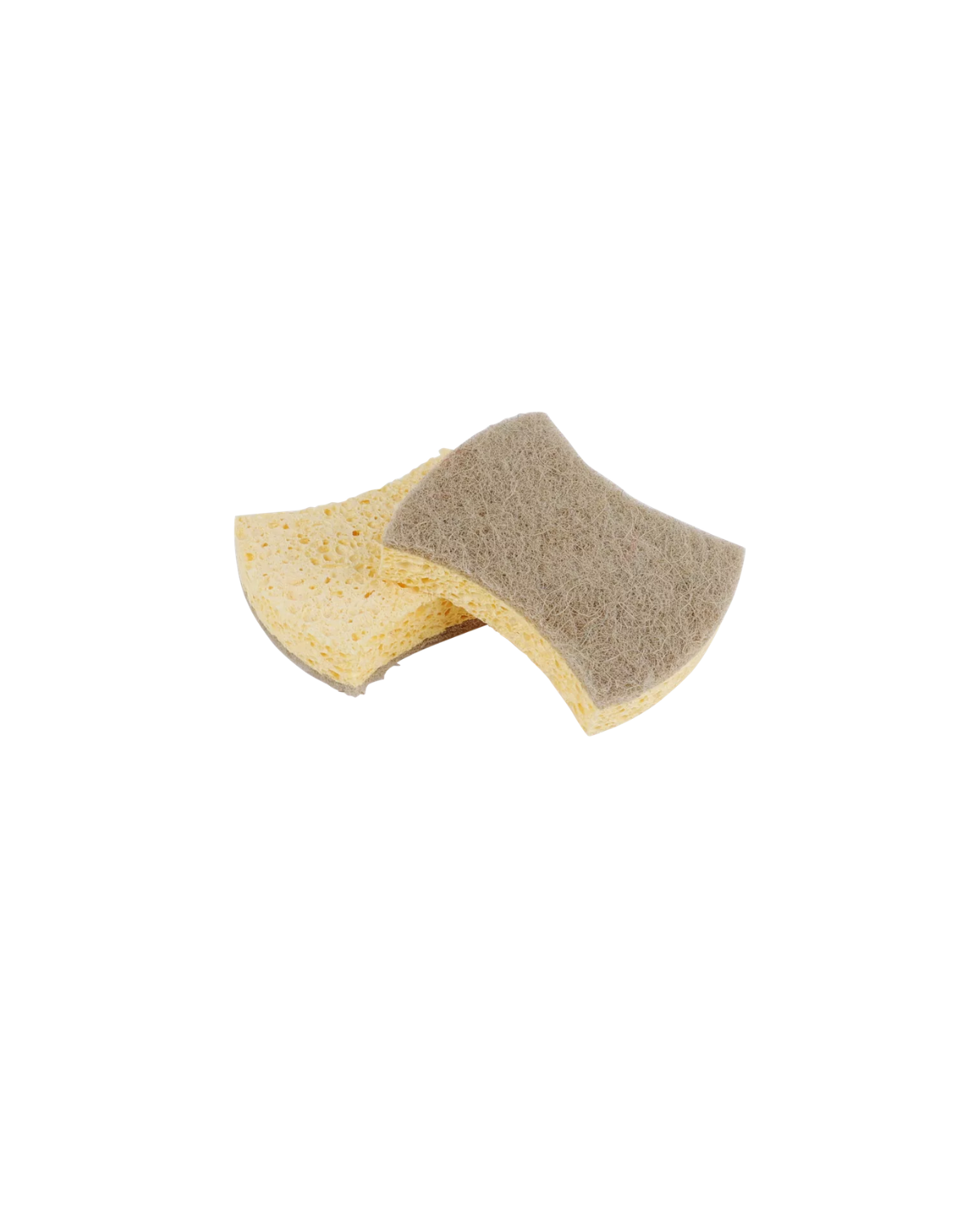 cleaning sponge