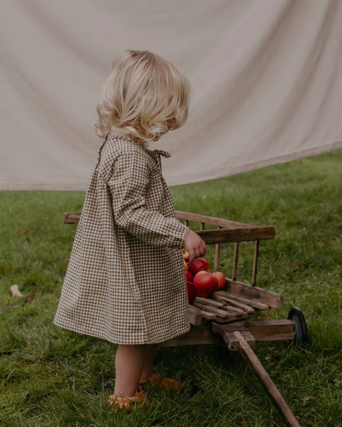 Baby Mabel Dress