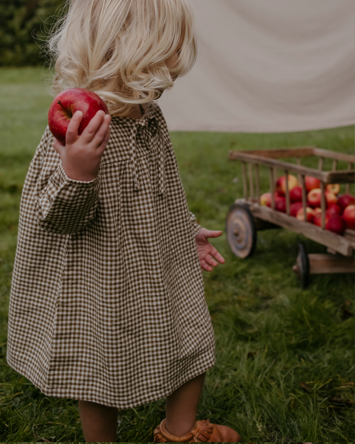 Baby Mabel Dress