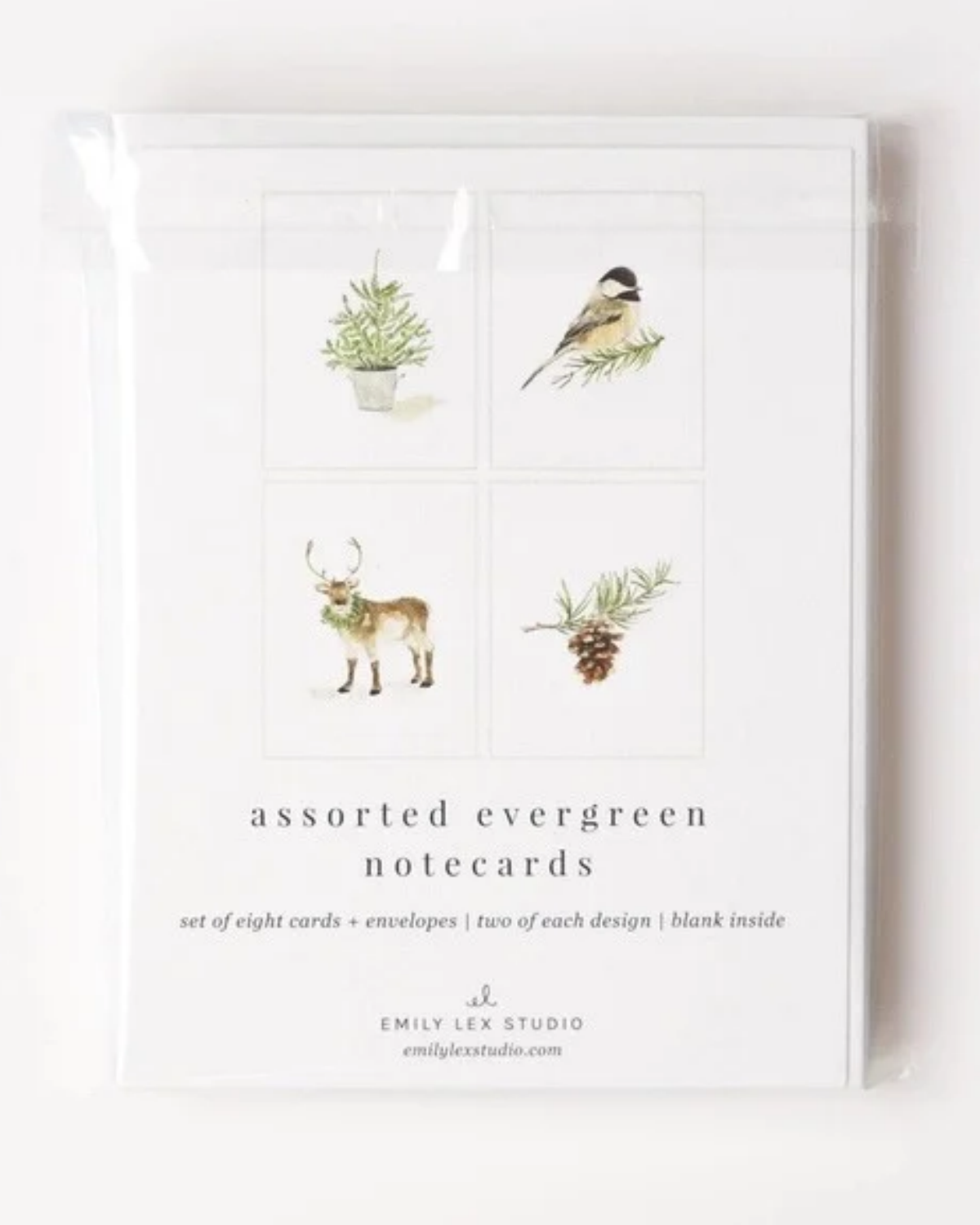 Evergreen Christmas Assorted Notecards