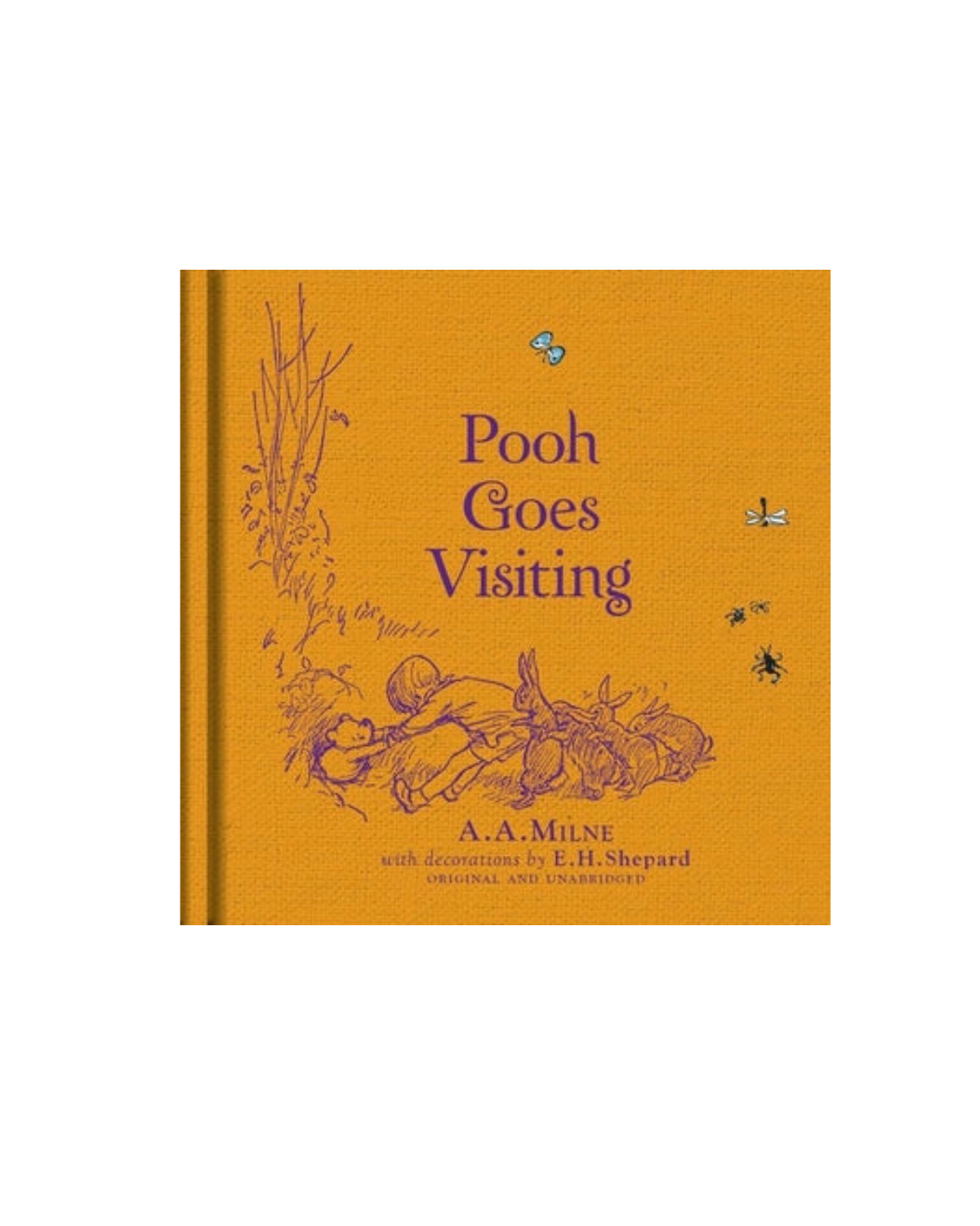 Winnie-The-Pooh: Pooh Goes Visiting