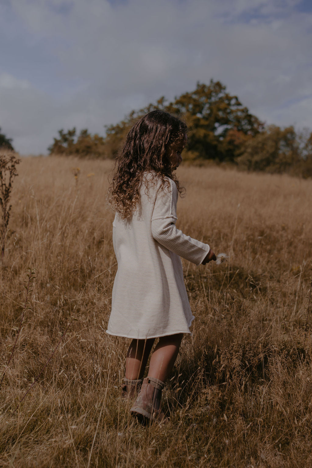 French Terry Pullover Dress