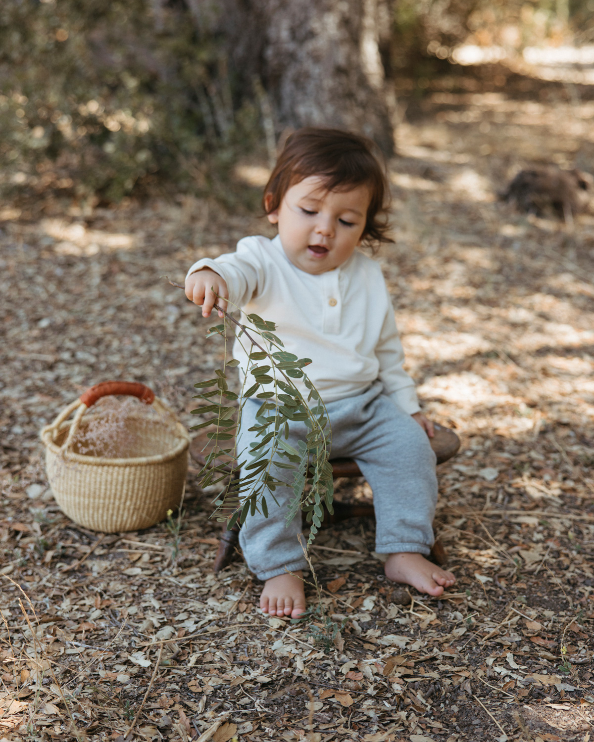 French Terry Baby Pant