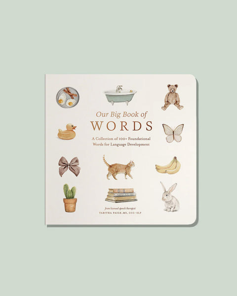 Our-Big-Book-of-Words-1_grande