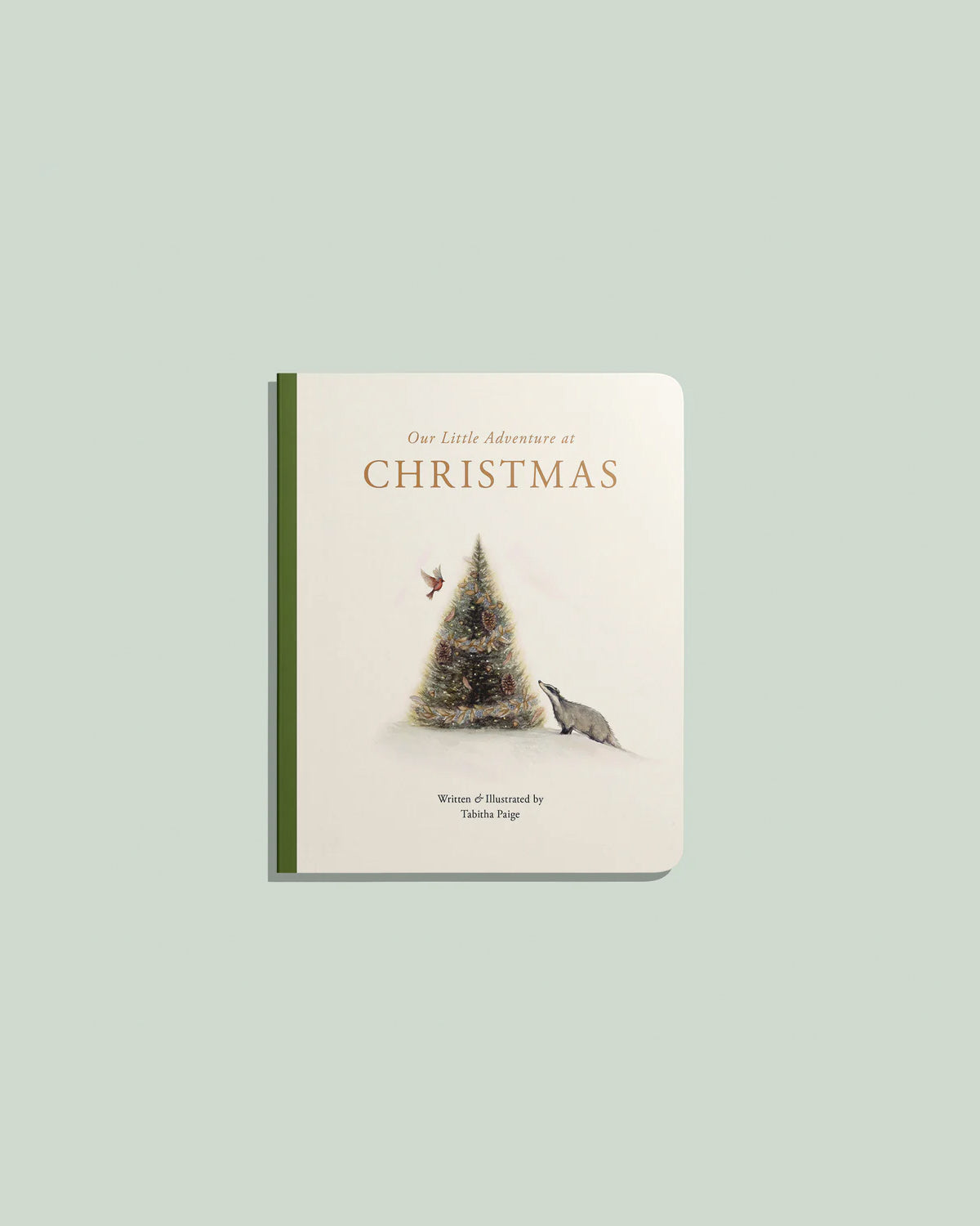 Our Little Adventure at Christmas