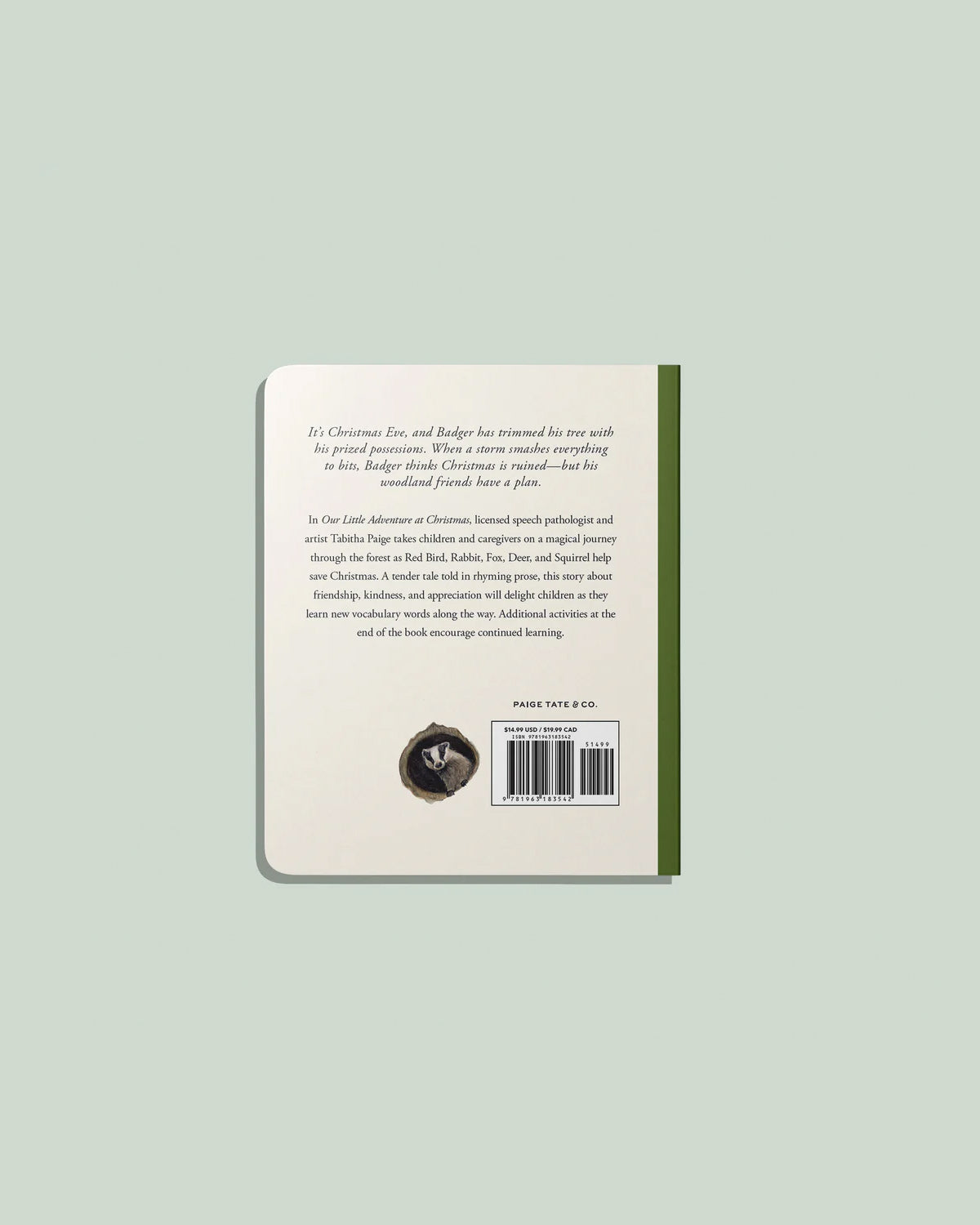 Our Little Adventure at Christmas