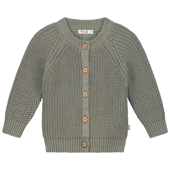 Raglan Cardigan Sweater - sage