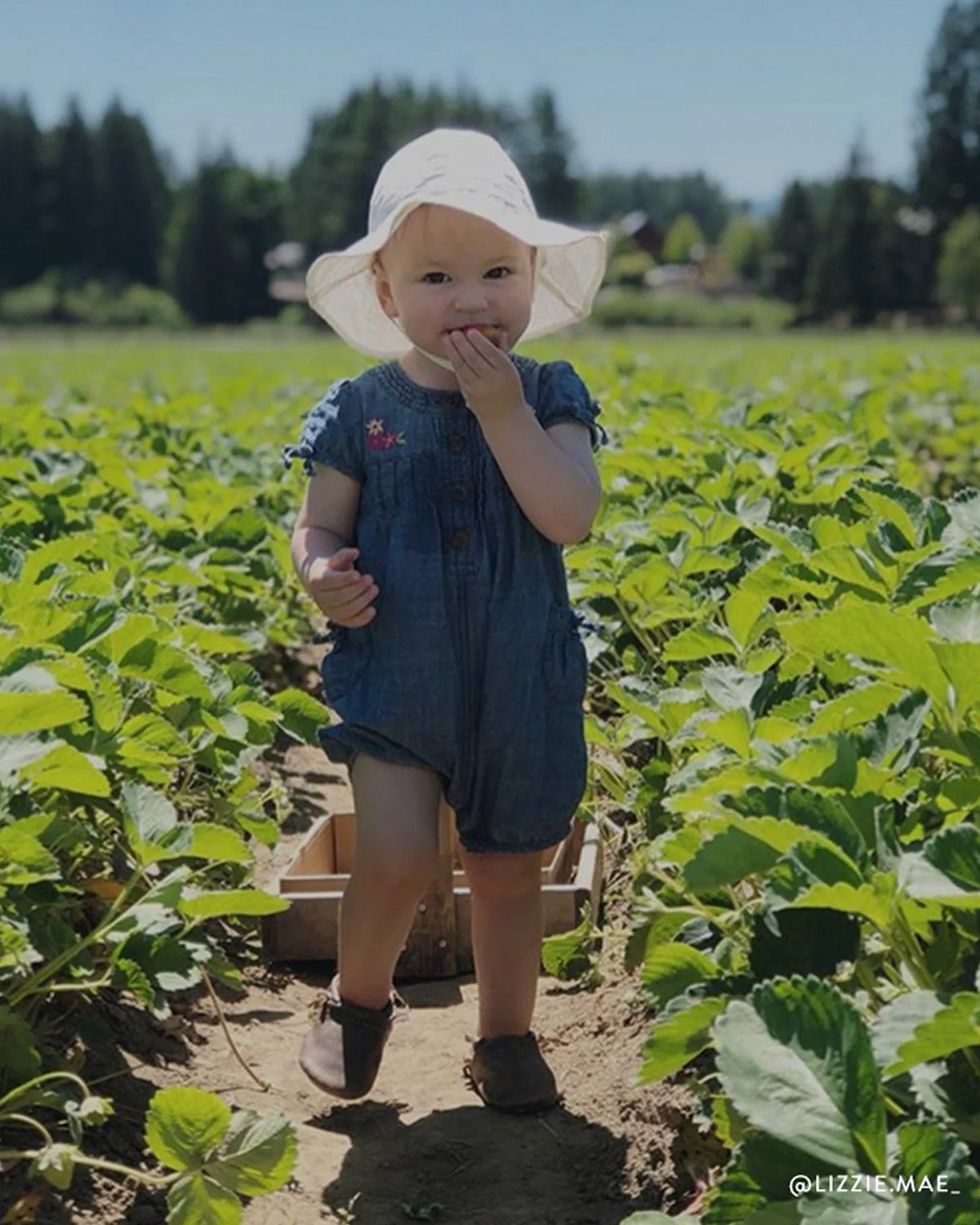 Baby is in the field with comfy sun hat