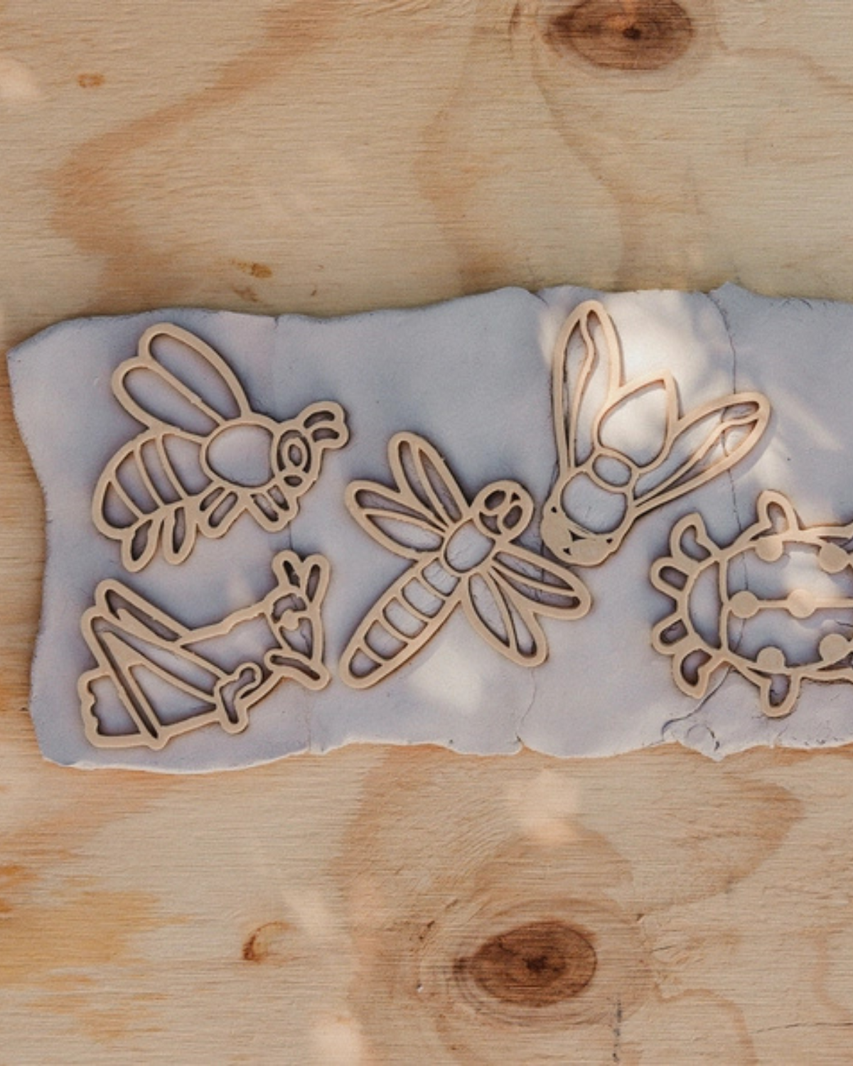 Insect Cutter Set - Eco Playdough Tool