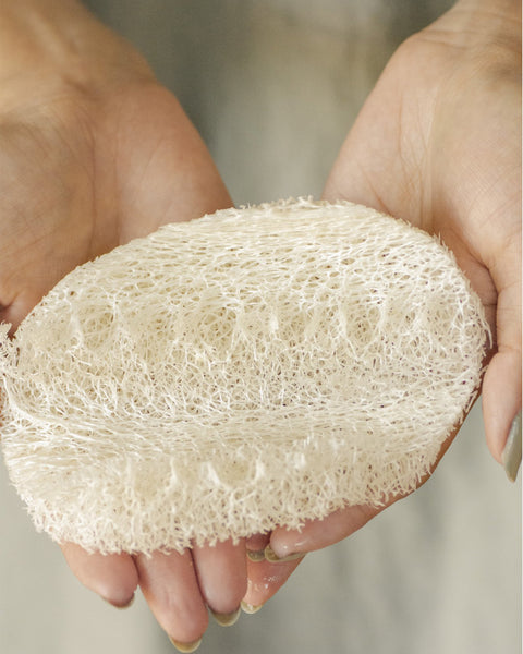 Biodegradable Eco-Sponges for Dish Washing (3 Pack)<br>No Tox Life