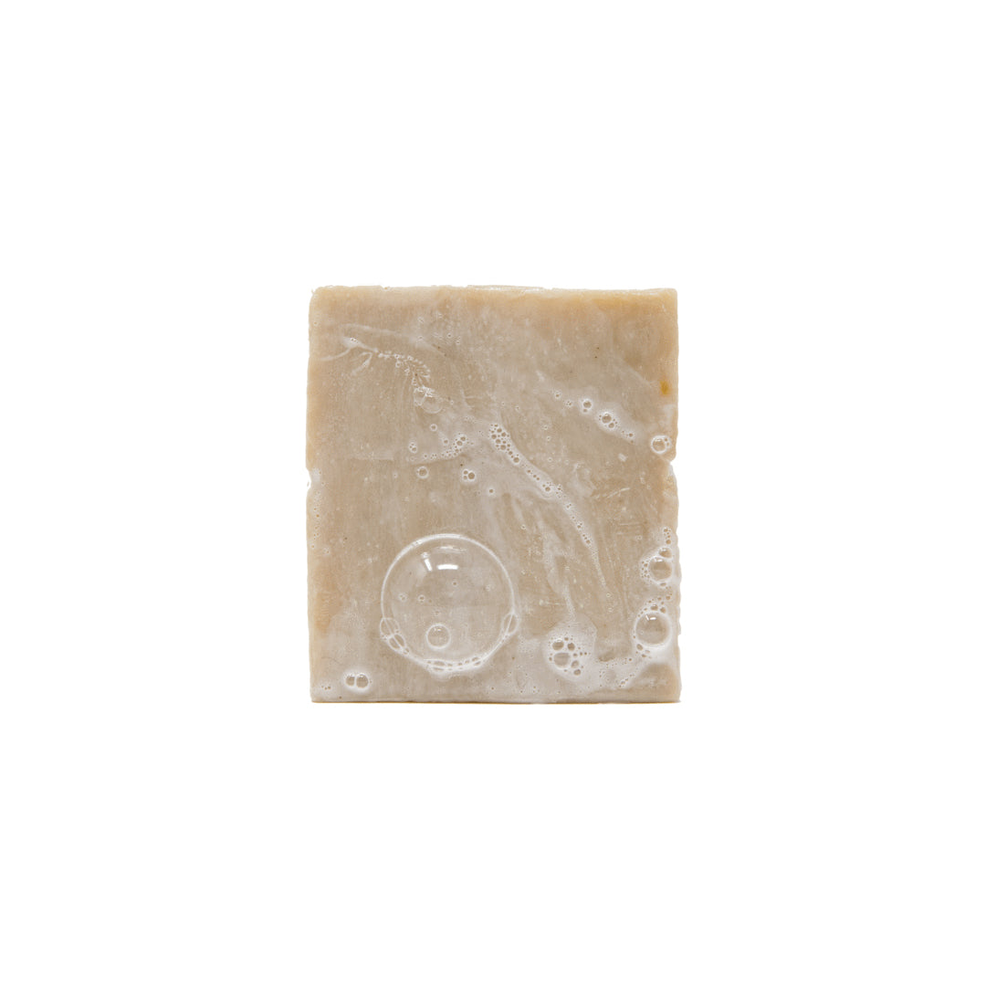 Grapefruit IPA Soap - Dr. Squatch