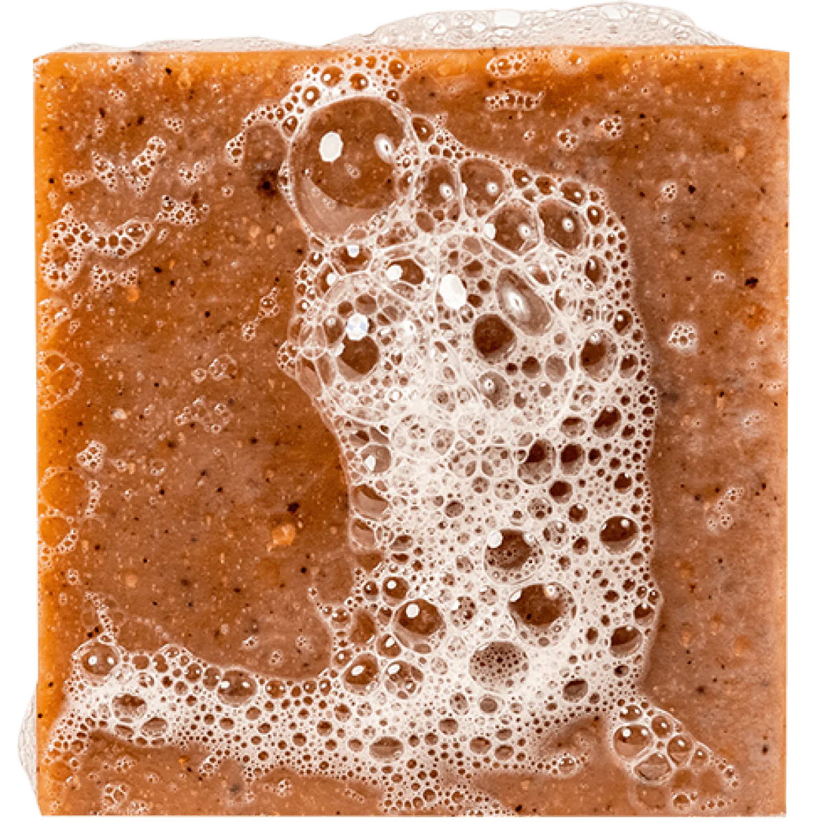 Mens Soap Set - Coconut Castaway + Grapefruit IPA + Wood Barrel Bourbon + Cedarwood Soap Saver <br>Dr. Squatch